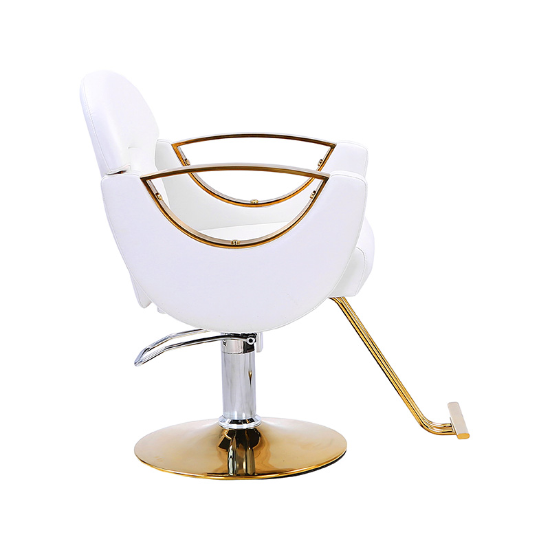 HZ8765BZ / HZ8765WZ / HZ8765PZ / HZ8765Z Scaun de salon de coafat usor