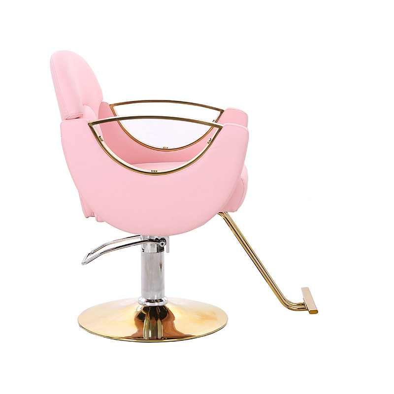 HZ8765BZ / HZ8765WZ / HZ8765PZ / HZ8765Z Scaun de salon de coafat usor