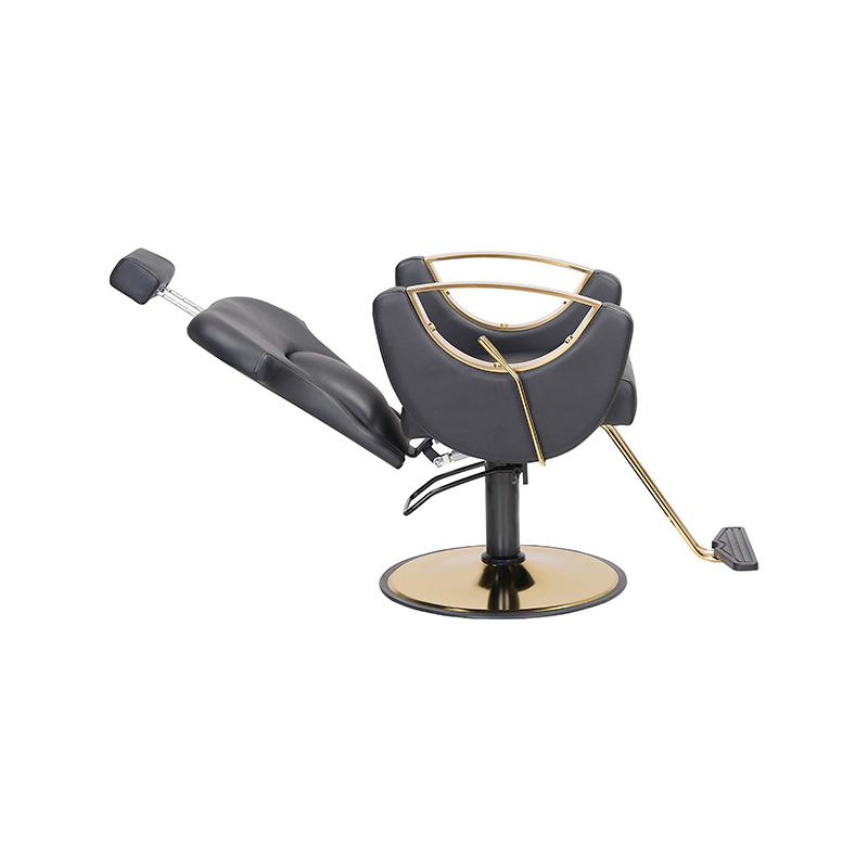 HZ8765BK / HZ8765H / HZ8765WG / HZ8765PK / HZ8765 Scaun de salon Scaun de frizer inclinabil