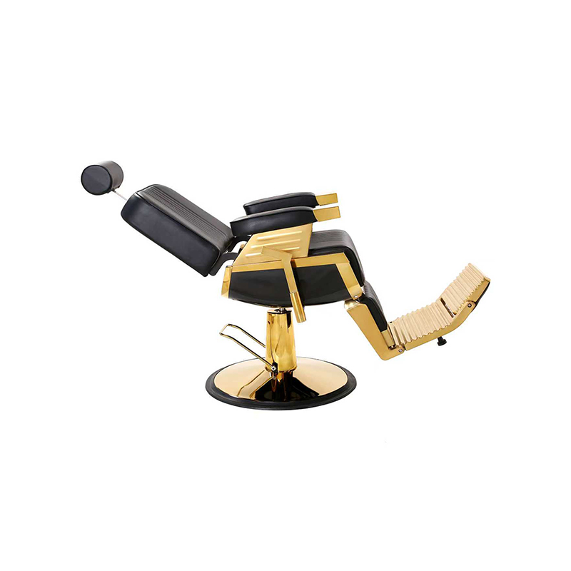 HZ8740AGD Scaun profesionist de frizerie, rabatabil, hidraulic